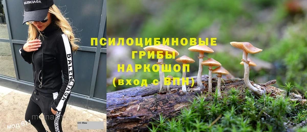 эйфоретик Абаза