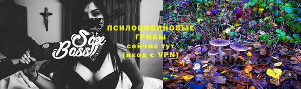 эйфоретик Абаза