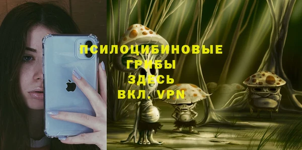 эйфоретик Абаза