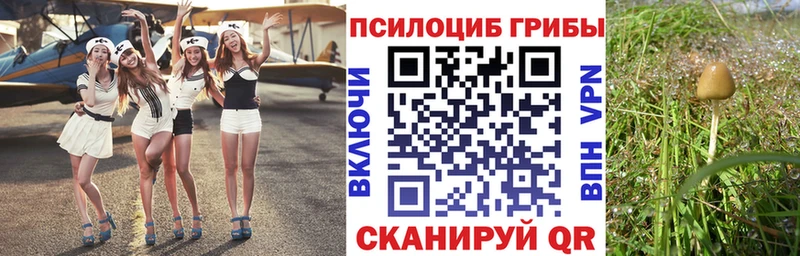 где можно купить   Новопавловск  Галлюциногенные грибы GOLDEN TEACHER 